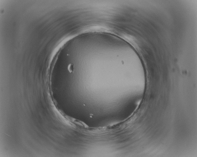 X0000076451392200610202324