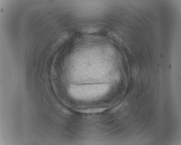 X0000076451393200610202323