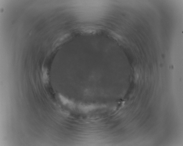 X0000076451394200610202323