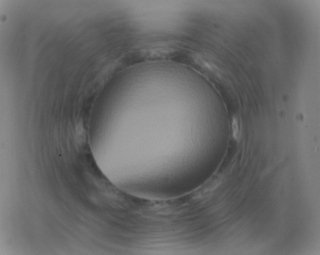 X0000076451395200610202323