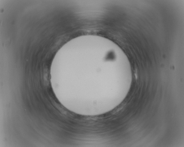 X0000076451396200610202323