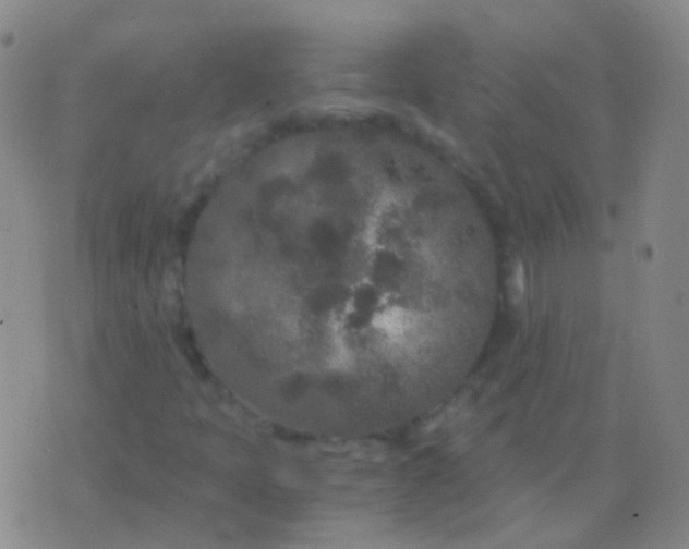 X0000076451397200610202323