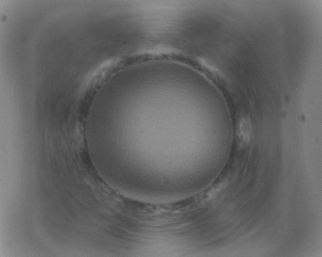 X0000076451398200610202323