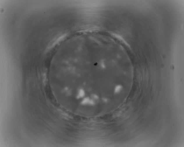 X0000076451399200610202323