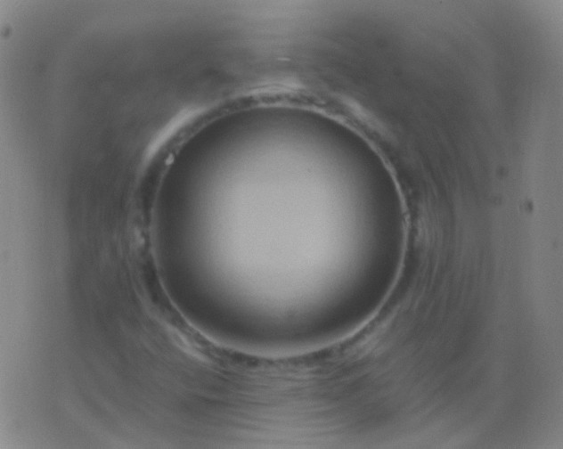 X0000076451400200610202323