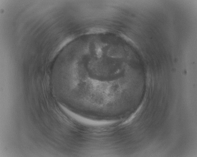 X0000076451401200610202323