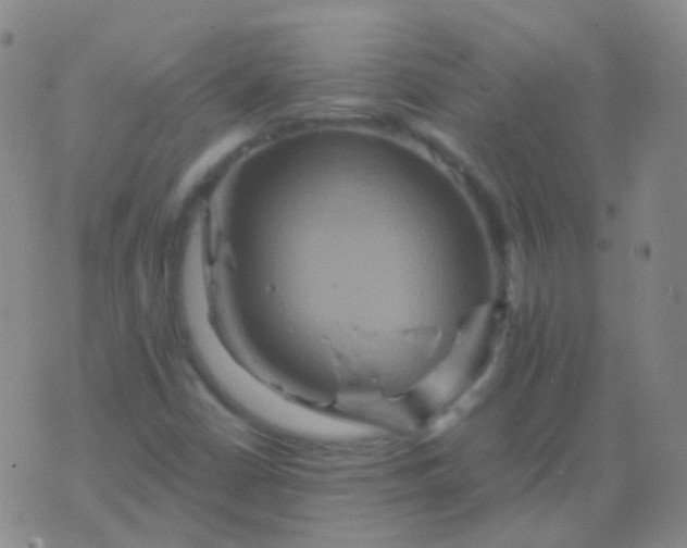 X0000076451402200610202323