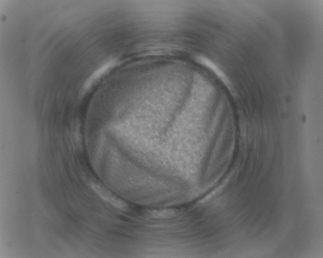 X0000076451403200610202323