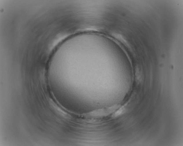 X0000076451404200610202323