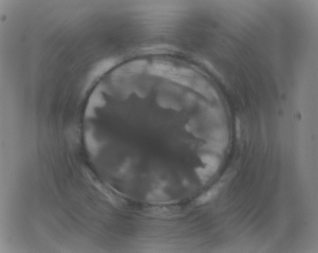 X0000076451405200610202323