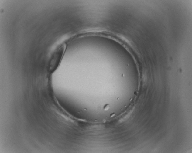 X0000076451406200610202323