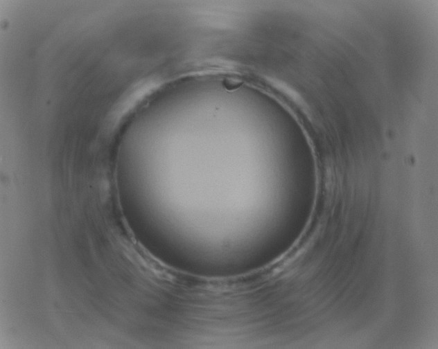 X0000076451407200610202323