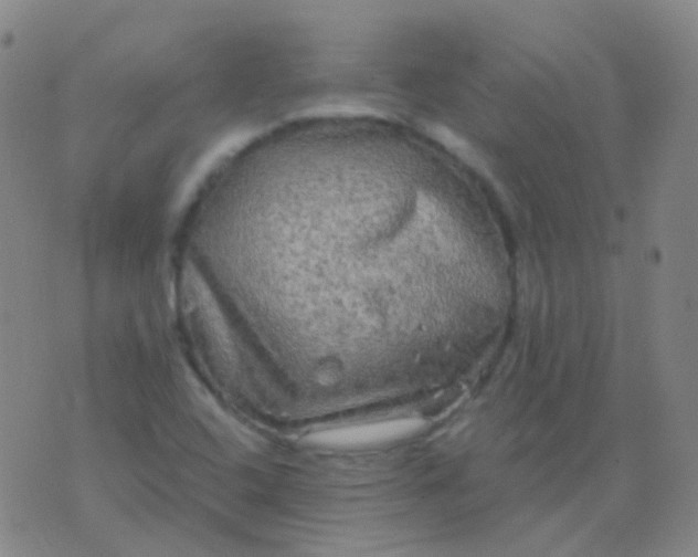 X0000076451408200610202323