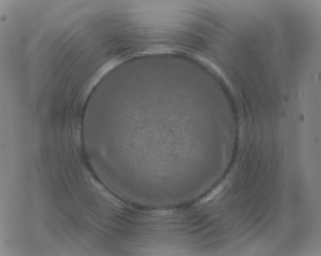 X0000076451409200610202323