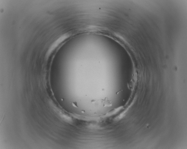 X0000076451410200610202323