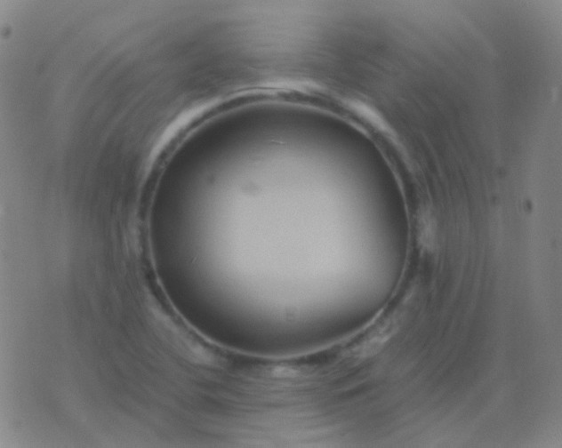 X0000076451412200610202323