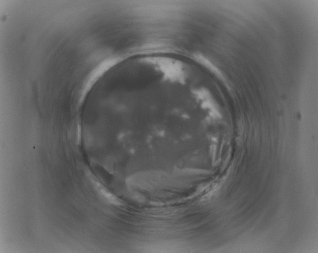 X0000076451413200610202323