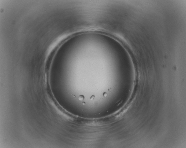 X0000076451414200610202323