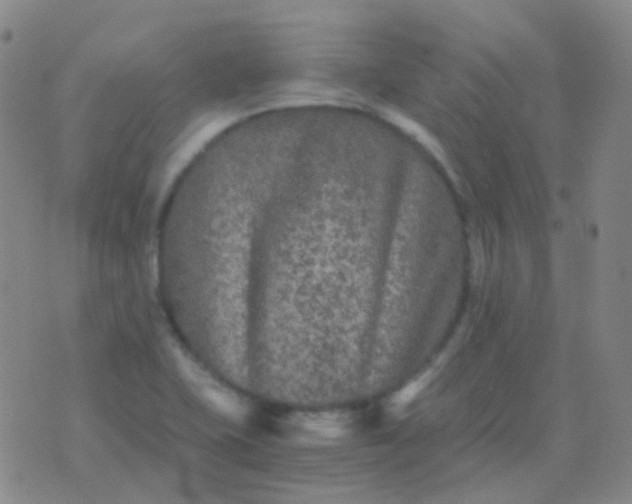 X0000076451415200610202323