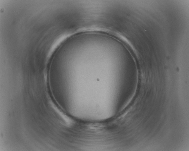 X0000076451416200610202323