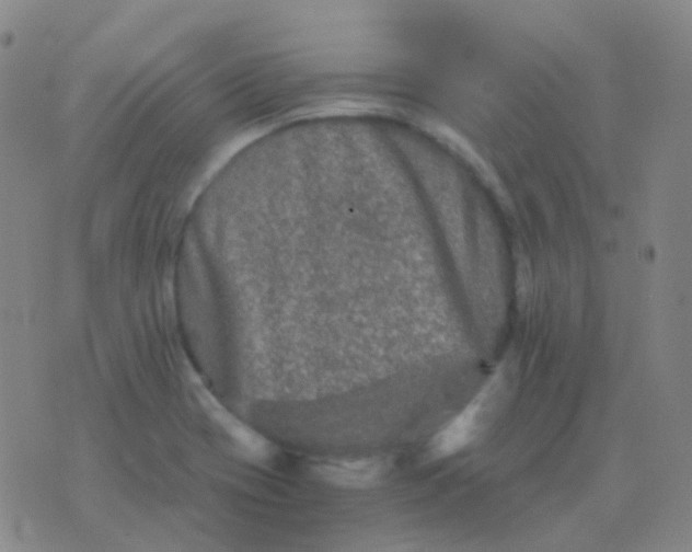 X0000076451417200610202323