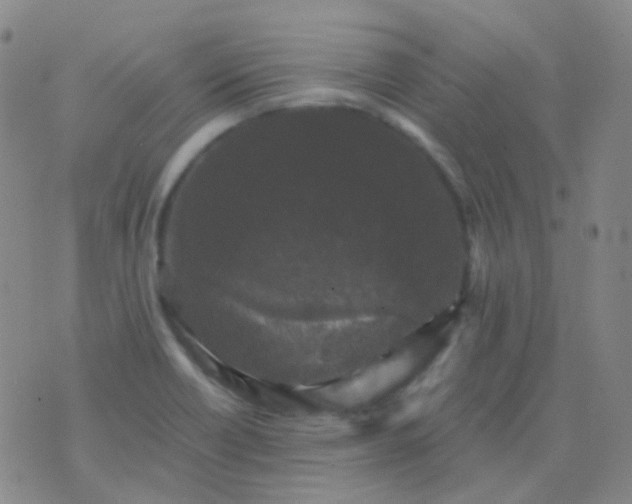 X0000076451418200610202323