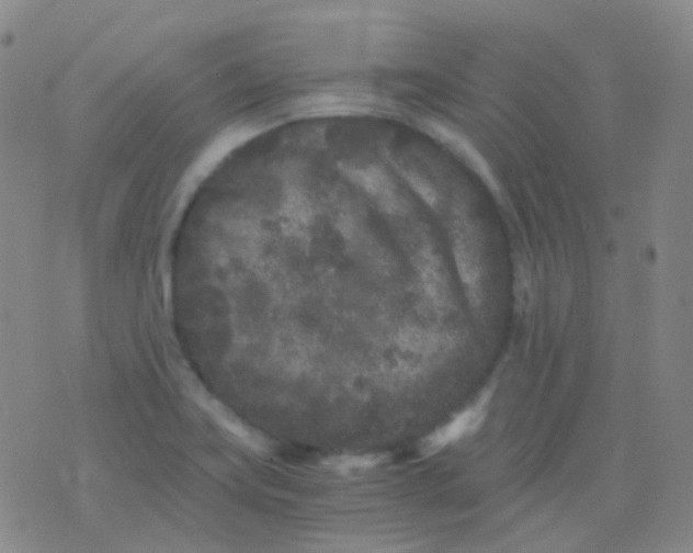 X0000076451419200610202323