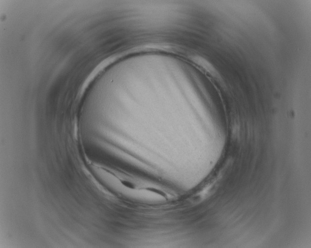 X0000076451420200610202323