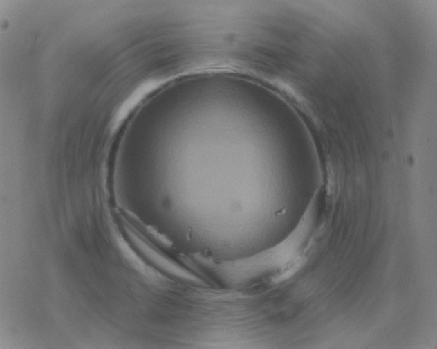 X0000076451422200610202323