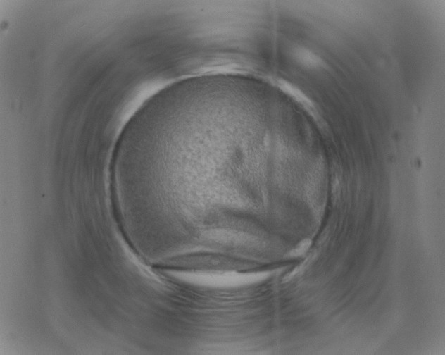 X0000076451423200610202323