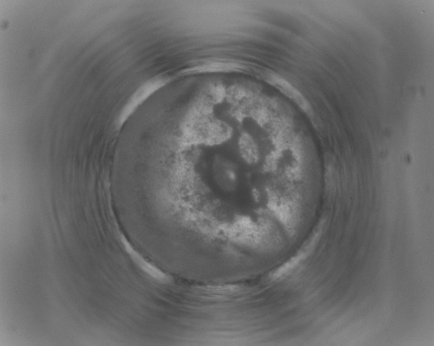 X0000076451425200610202323