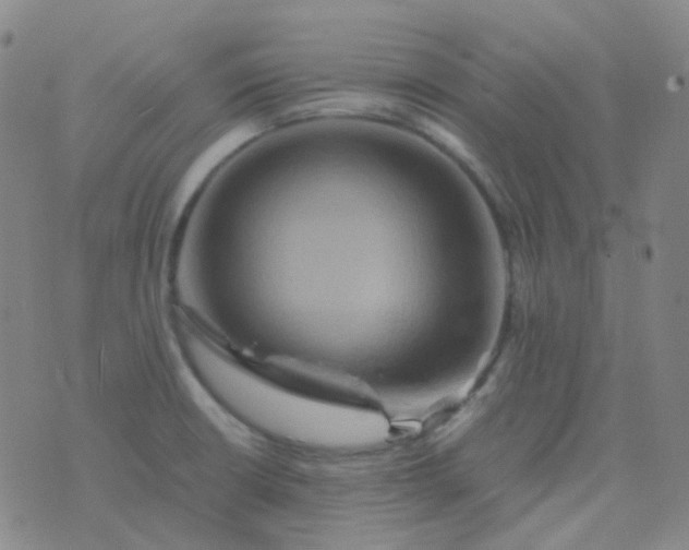 X0000076451426200610202323