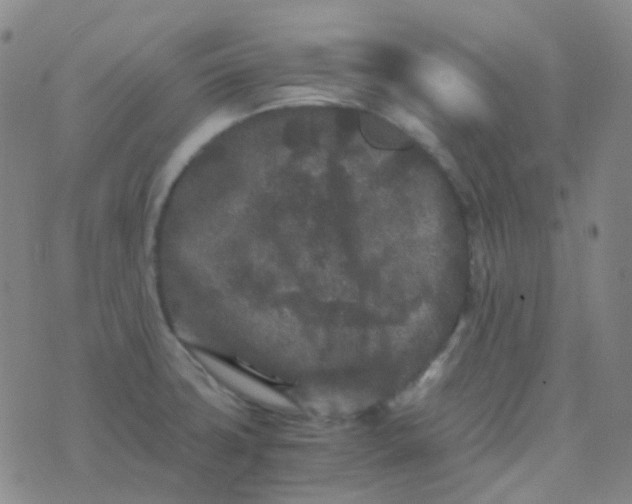 X0000076451427200610202324