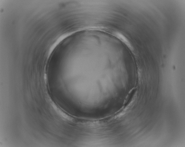 X0000076451428200610202324