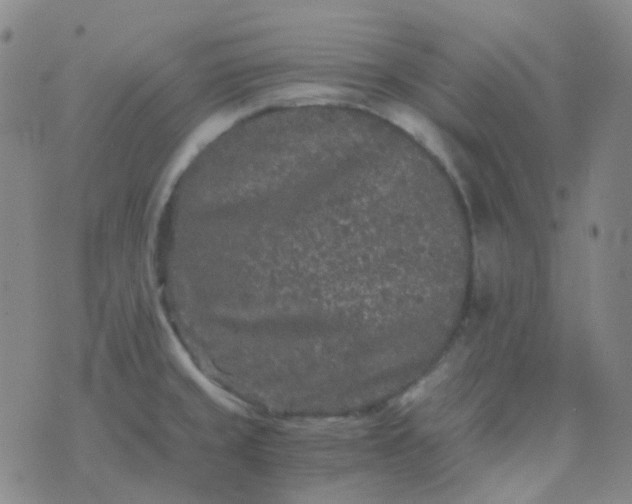 X0000076451429200610202324