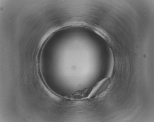 X0000076451430200610202324