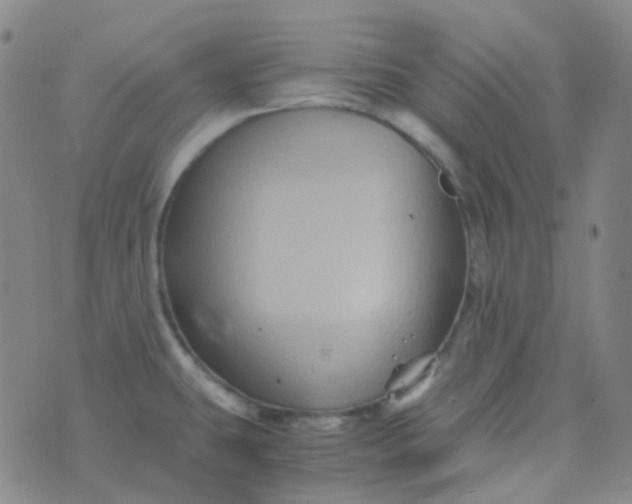 X0000076451431200610202324