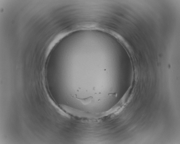 X0000076451432200610202324