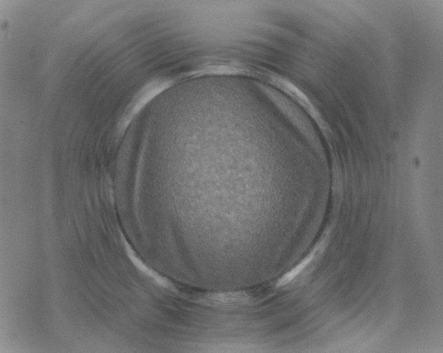 X0000076451433200610202324