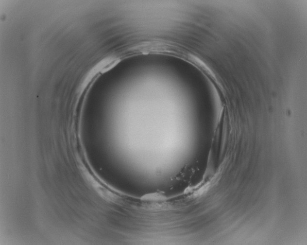 X0000076451434200610202324