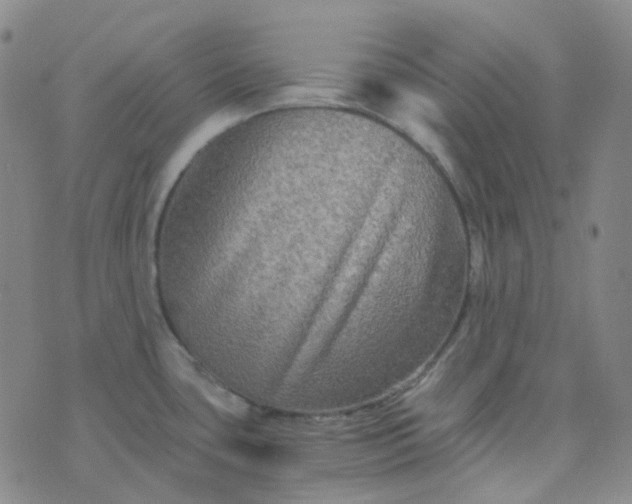 X0000076451435200610202324