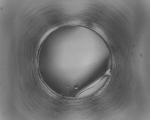 X0000076451436200610202324