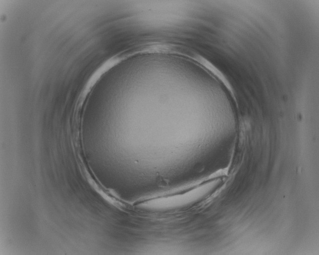 X0000076451437200610202324