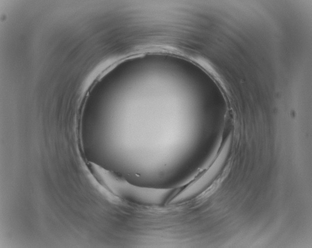 X0000076451438200610202324