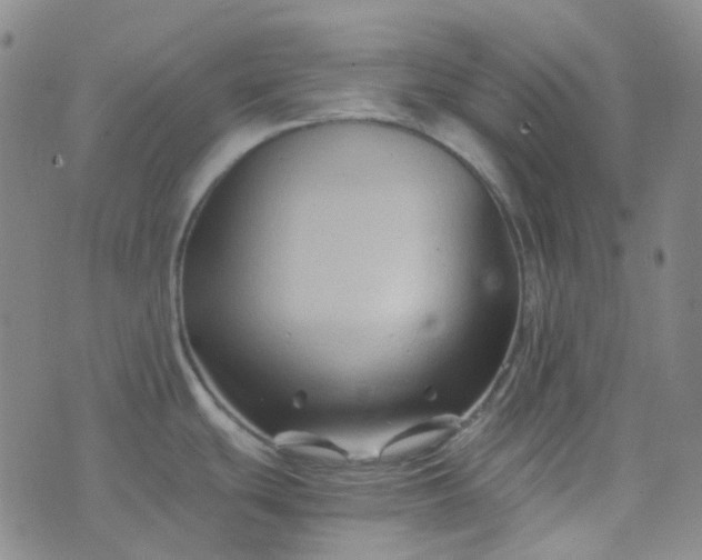 X0000076451439200610202324