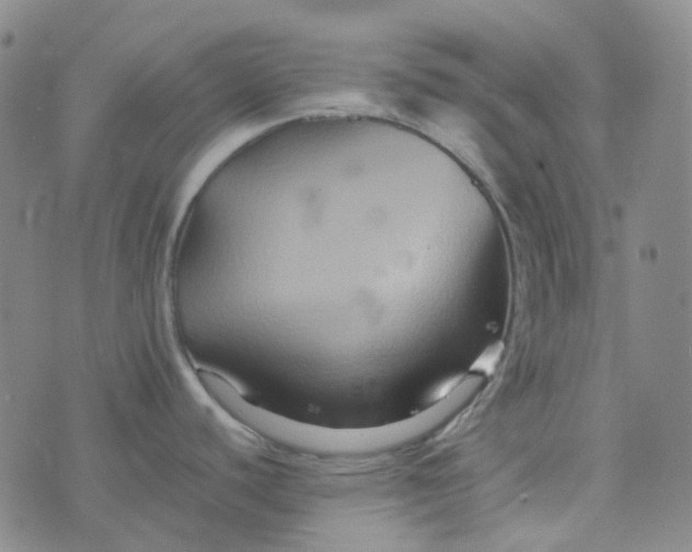 X0000076451440200610202324