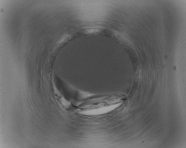 X0000076451441200610202323