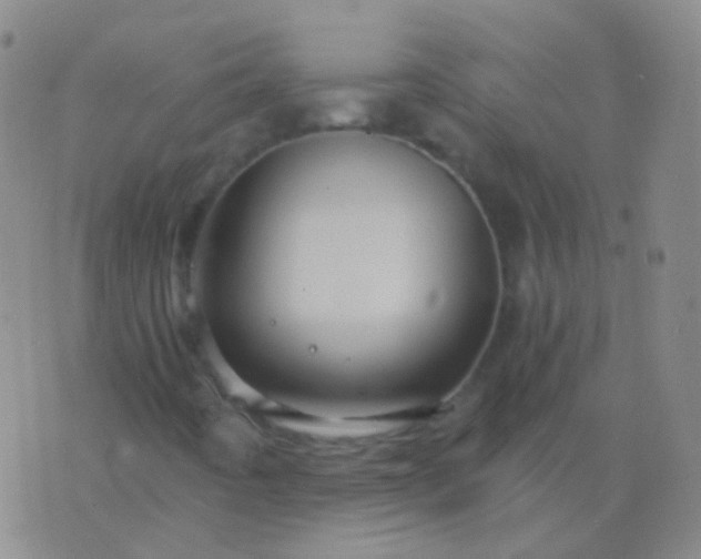 X0000076451442200610202323