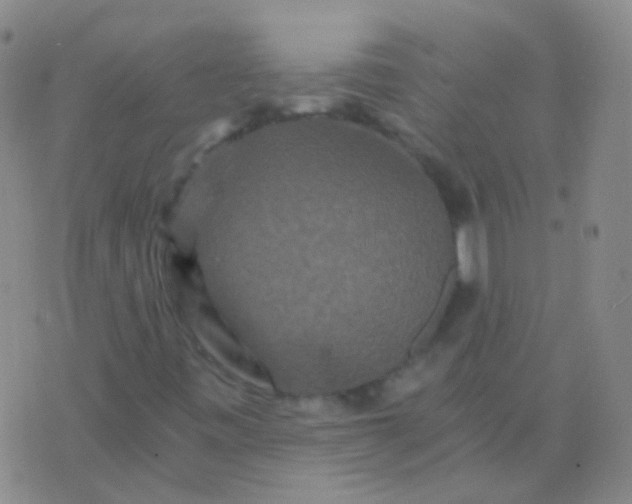 X0000076451443200610202323