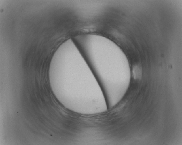 X0000076451444200610202323